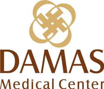 Damas Logo