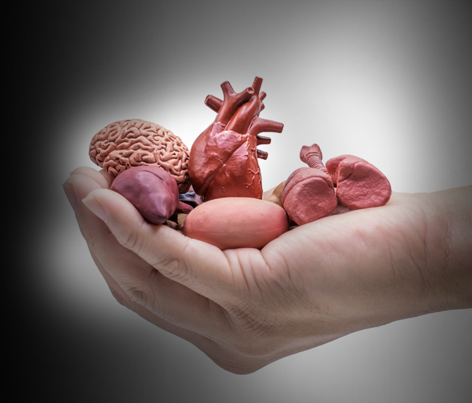 Internal Medicine
